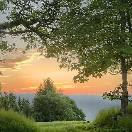 Haus Schlageter Apartmán