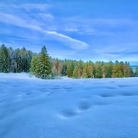 Haus Schlageter 公寓 *