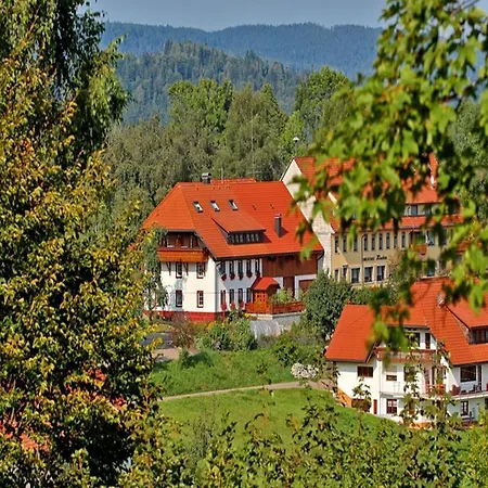 Haus Schlageter Apartment Dachsberg im Schwarzwald