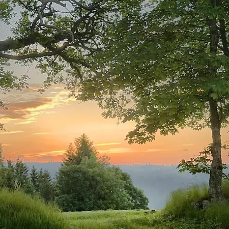 Haus Schlageter Dachsberg im Schwarzwald