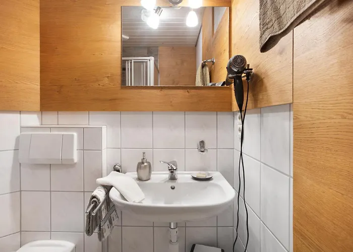 Haus Schlageter Apartment Dachsberg im Schwarzwald